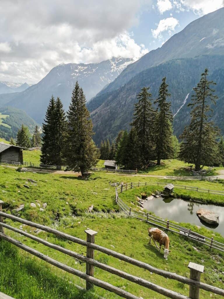 Blick über das Tauerntal von der Alm vom Bethuberhof in Matrei in Osttirol